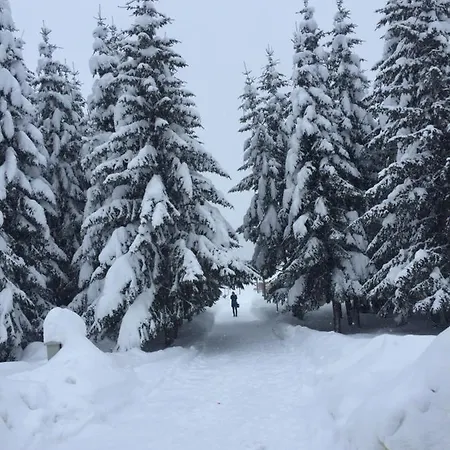 Case de vacanță Mrljes *