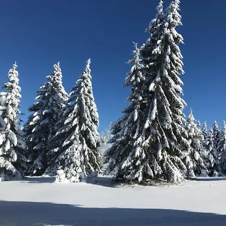 Case de vacanță Mrljes *