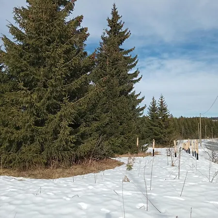 Mrljes Case de vacanță