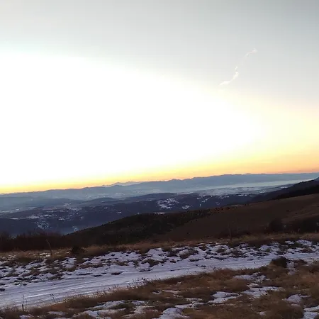Mrljes * Rast
