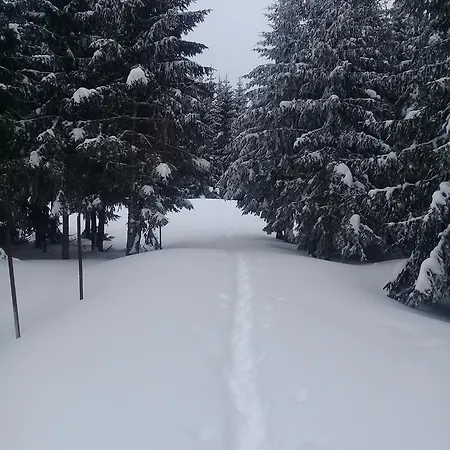 Mrljes Case de vacanță Rast